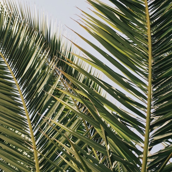 Meet Your Posher, Claire - Picture 1 of 2